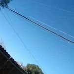 Danny Cannon - @dannycannon617 - Instagram