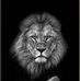 Danny Cappaert - Facebook