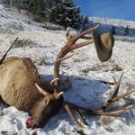 Danny Carr - @danny.carr.54 - Instagram