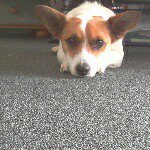 danny cartwright - @little_turd_dude - Instagram