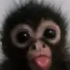 Danny Casillas - @danny.casillas93 - TikTok