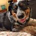 Daniel Joseph Pope Chaney - Facebook