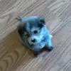 danny - @dannychaney699 - TikTok