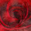 dannycheckz_creation - @dannycheckz_creation - TikTok