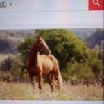 Danny Coker - @dannycoker49 - Instagram