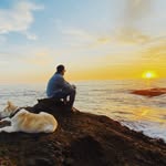 Danny Costello - @dcostello14 - Instagram