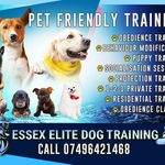 Danny Cross - @essex_elite_dog_training - Instagram