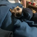 Danny Crouch - @danny.crouch_1367 - Instagram