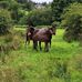 Danny Curtin - Facebook