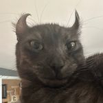 Danny Darnell - @danny_darnell - Instagram