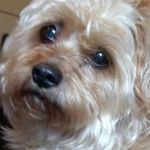 @danny._.dickens_mom - Instagram