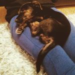 Danny dickens - @dannydickens99 - Instagram