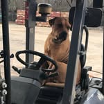 Danny Dickerson - @dannydickerson1459 - Instagram