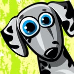 Danny’s Dierenshop Veldhoven - @dannys_dierenshop - Instagram