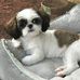 Danny Dillard - Facebook