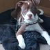 Danny Dilts - Facebook