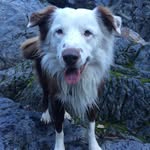 Danny Dineen - @dragonhour - Instagram