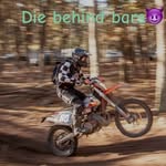 Danny Dingus - @danny_jr_dingus - Instagram