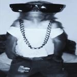 dannydingus - @itsmedannydingus - Instagram