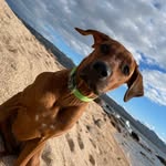 Danny Dix - @dannydix76 - Instagram