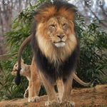 Danny dodson - @5697.danny - Instagram