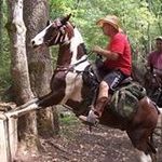 Danny Dodson - @danny.dodson.7 - Instagram