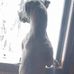 Danny Doe - Facebook