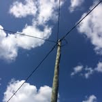 Danny Dog - @dftsv2 - Instagram