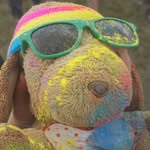Danny Dog - @danny_dogs_adventures - Instagram
