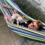Danny Healy - @danny_dog_care - Instagram