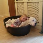 Danny Dolan - @danny.dolan.520 - Instagram