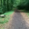 dannydoohann - @dannydooh - TikTok