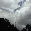 dannydoss260 - @dannydoss260 - TikTok