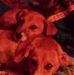 Danny Dowdy - Facebook