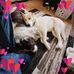 Dan Dowell - Facebook