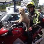 Danny Driesen - @driesen.danny - Instagram
