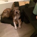 Danny Driessen - @danny.driessen.96 - Instagram