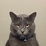 DannyDropsDead - @dannydropsdead - Instagram