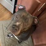 @dannysdublin - Instagram