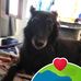 Danny Dumont - Facebook