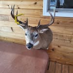Danny Dumont - @dan.ny5880 - Instagram