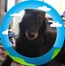 Danny Dumont - Facebook