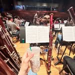 Danny Eng - @dannyplaysbassoon - Instagram