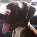 Danny Enlow - Facebook