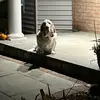 Danny - @danny.ensign - TikTok
