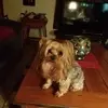 Daniel Epstein - @daniel.epstein0 - TikTok