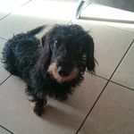 Danny Ernst - @danny.ernst - Instagram