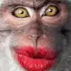 user8552845106181 - @dannyevens18283837 - TikTok