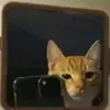 😎🖕👺D. E. J. G. 😎👹😎😎♈🖕 - @dannyeversonj - TikTok