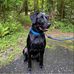 Danny Everson - Facebook